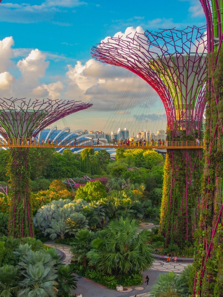 Super Tree Grove at Gardens by the Bay in Singapore